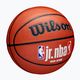Basketbalová lopta Wilson NBA JR Fam Logo Indoor Outdoor hnedá veľkosť 6 2