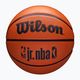 Basketbalová lopta Wilson NBA JR Drv Fam Logo hnedá veľkosť 7