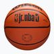 Basketbalová lopta Wilson NBA JR Drv Fam Logo hnedá veľkosť 6 5
