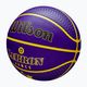 Basketbalová lopta Wilson NBA Player Icon Outdoor Lebron modrá veľkosť 7 3