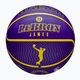 Basketbalová lopta Wilson NBA Player Icon Outdoor Lebron modrá veľkosť 7 7