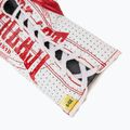 Kožené boxerské rukavice Everlast Fight  červené 6