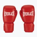 Boxerské rukavice Everlast Amateur Competition H&L red 2