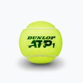 Dunlop ATP tenisové loptičky 4 ks žlté 601314 3