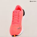 Dámska bežecká obuv PUMA Electrify Nitro 3 Fade sun stream/sunset glow/puma white 18