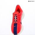 Dámske bežecké topánky Nike Pegasus Plus bright crimson / deep royal blue / silt red 12