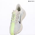 Dámske bežecké topánky Nike Pegasus Plus platinum tint/pure platinum/black 9