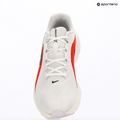 Pánske bežecké topánky Nike Downshifter 14 white/summit white/bright crimson/black 10