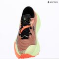 Pánske bežecké topánky ASICS Trabuco Max 5 umeboshi/black 9