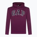 Pánska mikina GAP V-Heritage Logo PO SNL beach plum 2