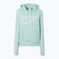 Dámska mikina Reebok Identity Big Logo Fleece glitch aqua 5