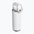 Termofľaša Stanley Classic Wellspring frost 2