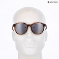 Slnečné okuliare UVEX LGL 54 havanna matt/litemirror silver 11