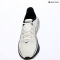 Pánske bežecké topánky Nike Pegasus 42 summit white/metallic silver-photon dust 15