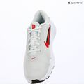 Pánske tréningové topánky Nike Flex Train off white/white/black/university red 8