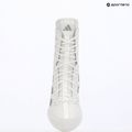 Boxerské topánky adidas Box Hog 4 white/silver 9