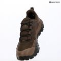 Pánske turistické topánky The North Face Offtrail Hike GTX dark chestnut/smokey 14