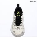 Pánske basketbalové topánky Nike Giannis Immortality 5 white/off white/metallic silver 16