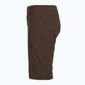 Pánske cyklistické šortky Fox Racing Ranger Liner cocoa 3