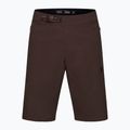 Pánske cyklistické šortky Fox Racing Ranger cocoa 5