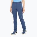 Dámske trekingové nohavice Salomon Wayfarer blue LC1744