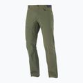 Pánske trekingové nohavice Salomon Wayfarer green LC17392
