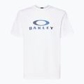 Pánske tričko Oakley Camo Ellipse Tee white