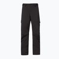 Pánske snowboardové nohavice Oakley Axis Insulated black FOA403446 8