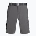 Columbia Silver Ridge II Cargo 023 grey 1794921 pánske trekingové šortky 6