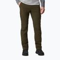 Columbia Silver Ridge II converti 319 green 1794891 pánske trekingové nohavice