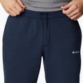 Pánske trekingové šortky Columbia Logo Fleece navy blue 1884601464 4