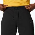 Pánske trekingové šortky Columbia Logo Fleece black 1884601010 4