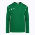 Detská futbalová mikina Nike Dri-FIT Park 20 Crew pine green/white