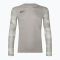 Pánske  brankárske tričko Nike Dri-FIT Park IV Goalkeeper T-shirt pewter grey/white/black