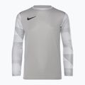 Detské brankárske tričko Nike Dri-FIT Park IV pewter grey/white/black