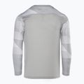 Detské brankárske tričko Nike Dri-FIT Park IV pewter grey/white/black 2