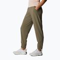Columbia Pleasant Creek Warm Jogger brown dámske trekingové nohavice 1960113 2