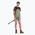 Pánske trekingové tričko Icebreaker Merino Cool-Lite Sphere III SS Tee Colour Block lichen/loden 5