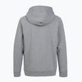Dámska trekingová mikina Patagonia P-6 Label Uprisal Hoody gravel heather 2