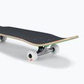 Globe Goodstock classic skateboard zelený 6