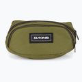Ľadvinka Dakine D8130200 utility green