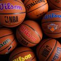 Wilson NBA Team Alliance Los Angeles Clippers basketbalová hnedá WTB3100XBLAC veľkosť 7 4