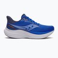 Pánske bežecké topánky Saucony Triumph 24 lapis/silver