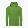 Pánska bunda do dažďa Marmot Minimalist Pro Gore Tex zelená M12351 4