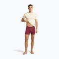 Pánske termo boxerky icebreaker Anatomica Boxers port 5