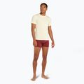 Pánske trekingové tričko Icebreaker Anatomica Crewe undyed 2