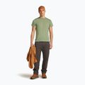 Pánske tričko Icebreaker Merino Core Tee lichen 4