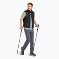 Pánske trekingové tričko Icebreaker Merino 150 Tech Lite Polar Paddle moss 5