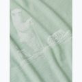Pánske trekingové tričko Icebreaker Merino 150 Tech Lite Polar Paddle moss 7