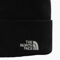 Pánska trekingová čiapka The North Face Norm Beanie black 2